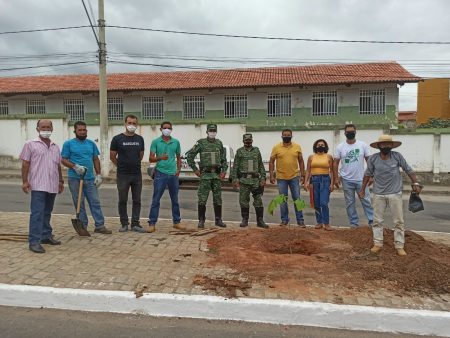 Prefeitura de Almenara realiza projeto de arborização da Avenida Olindo de Miranda