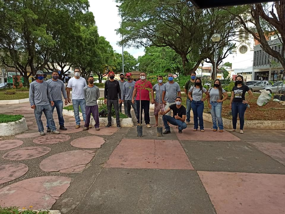 Prefeitura de Almenara realiza segunda etapa de arborização do município